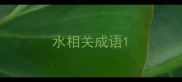 水相关成语