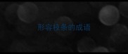 形容枝条的成语