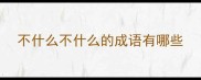 不什么不什么的成语有哪些
