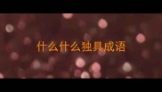 什么什么独具成语
