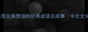 10个体现兄弟情谊的经典成语及故事中文文化必知