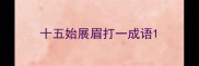 十五始展眉打一成语