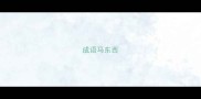 成语马东西