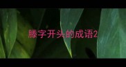 滕字开头的成语