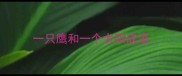 一只鹰和一个太阳成语