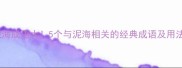 泥海成语大5个与泥海相关的经典成语及用法