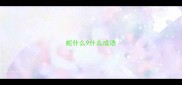蛇什么9什么成语