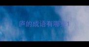 庐的成语有哪些