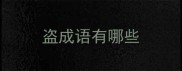 盗成语有哪些