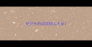 危开头的成语接龙大全