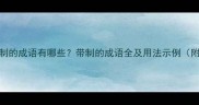 第四个字是制的成语有哪些带制的成语全及用法示例附高频考点