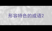 形容特色的成语