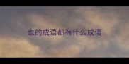 也的成语都有什么成语