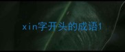 xin字开头的成语