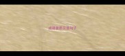成语意思及造句子