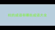 柱的成语有哪些成语大全