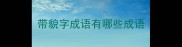 带貌字成语有哪些成语