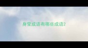 身莹成语有哪些成语