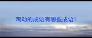 鸡动的成语有哪些成语