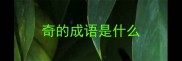 奇的成语是什么