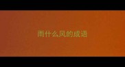 雨什么风的成语