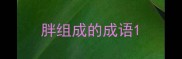 胖组成的成语
