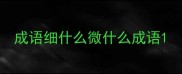 成语细什么微什么成语