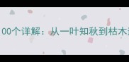 尾字是叶的成语100个详解从一叶知秋到枯木逢春的文学密码