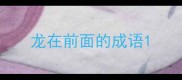 龙在前面的成语