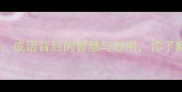 静如止水成语背后的智慧与妙用你了解多少