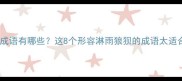 被雨淋成落汤鸡的成语有哪些这8个形容淋雨狼狈的成语太适合朋友圈文案了