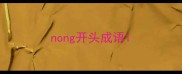 nong开头成语