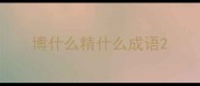博什么精什么成语