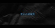 有大小的成语