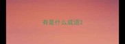 有是什么成语