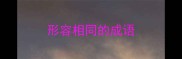 形容相同的成语