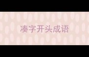 凑字开头成语