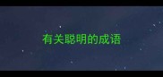 有关聪明的成语