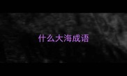 什么大海成语