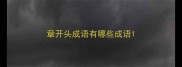 章开头成语有哪些成语