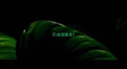 芯成语接龙