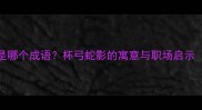 一条蛇是哪个成语杯弓蛇影的寓意与职场启示附详细