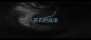 有石的成语