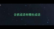 含抓成语有哪些成语