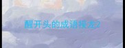 醒开头的成语接龙