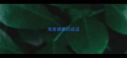寓意健康的成语