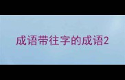 成语带往字的成语