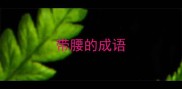 带腰的成语
