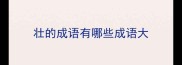 壮的成语有哪些成语大