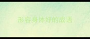 形容身体好的成语
